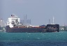 http://www.greatlakesdigitalimaging.com/ships/tnxcanadianolympic01.jpg